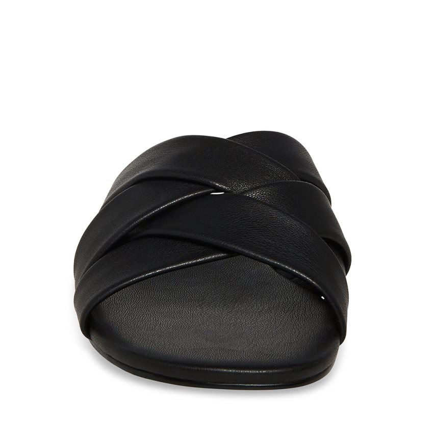 Black Steve Madden Kessy Women's Mules | PH 1067NQV